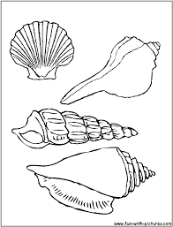 Chinese mystery snail clam pomacea canaliculata bolinus 590x600px 317.65kb. Shell 163174 Nature Printable Coloring Pages