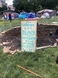 Maybe you would like to learn more about one of these? After Chaz Leftists In Usa Attempt To Establish Other Autonomous Zones