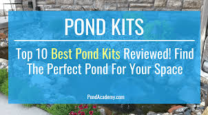 Top 10 Best Pond Kits Reviewed Best Complete Kits In 2020