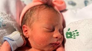 Brittany Wolfe's Instagram, Twitter & Facebook