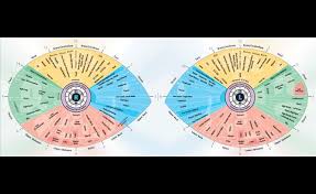 Sclerology