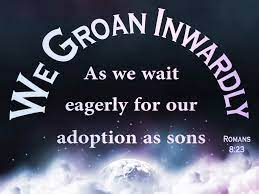 What Does Romans 8:23 Mean?