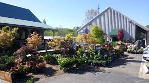 Get directions, reviews and information for premier lawn care in manchester, tn. Premier Lawn Care Manchester Tennessee Edukasi News