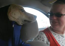 Bishop Climbing Trip, Apr 2009