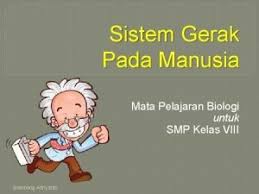 Sistem penjaminan mutu eksternal yaitu sistem penjaminan mutu yang dilaksanakan oleh pemerintah, pemerintah daerah, lembaga akreditasi dan lembaga standarisasi pendidikan sistem penjaminan mutu internal. Manual Pengguna Guru Mata Pelajaran Sistem Analisis Peperiksaan