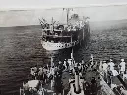 Image result for Bianco 1982 Fleet