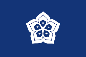 Cantonwan Sar A French Hong Kong Vexillology Historical Flags China Flag Alternate History