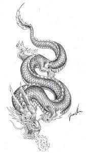 A phoenix and dragon tattoo. Pin By P S On Macas Dragon Tattoo Chinese Dragon Tattoos Chinese Tattoo
