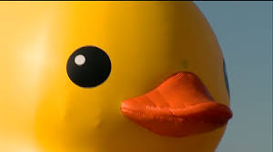 Looking for the best wallpapers? Free Download Rubber Duck Wallpaper Rubber Duck 02jpg 1920x1080 For Your Desktop Mobile Tablet Explore 49 Rubber Duck Wallpaper Border Akron Rubber Ducks Wallpaper Rubber Duck Wallpaper