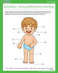 Science worksheets for grade 1 body parts. Body Basics Knowing Different Parts Of The Body Jumpstart