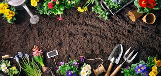 Yellowpages.ca helps you find local gardening equipment & supplies business listings near you, and lets you know how to contact or visit. Gardening Supplies In Wisconsin Fast Delivery Bayside Garden Center