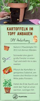 Kartoffeln Im Topf Anbauen Anleitung Video Plantura Kartoffeln Pflanzen Gemuse Pflanzen Gemuseanbau