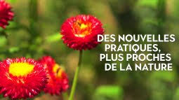 Revoir la vidéo en replay silence, ça pousse ! Silence Ca Pousse En Replay Revoir Toutes Les Emissions De Silence Ca Pousse En Replay