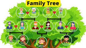 Family Tree, Family members & tree, Family tree chart, Family words in  English, Family tree for kids