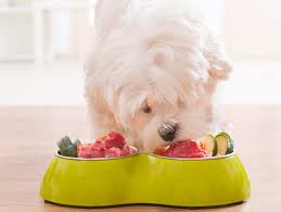 We did not find results for: How To Make Dog Food At Home