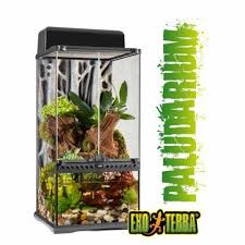 Exo Terra 12 X 12 X 24 Paludarium Terrarium For Sale Terrarium For Sale Mini Terrarium Terrarium