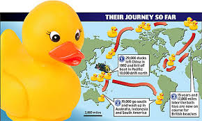 Image result for Yellow 1992 Fleet