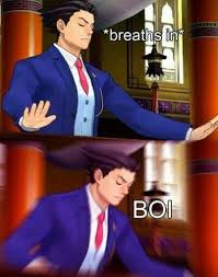 Pin By Brandon Williams On 2nd Meme Stash Phoenix Wright Professor Layton Ace