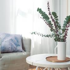 Check spelling or type a new query. How To Grow Eucalyptus
