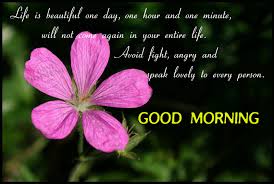 Spicecomments.com has thousands of comments for facebook, twitter and myspace, funny photos, pictures with quotes of friendship, love cards, animated gifs, cute scraps, glitters and images with beautiful messages. Good Morning Quotes With Flowers Quotesgram