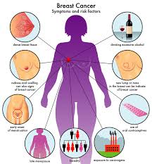 It has now emerged that one symptom of this change could be contributing to cognitive. Breast Cancer Hold A Big Pink Nerdynaut