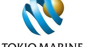 Provision of temporary replacement car during car repairs. Tokio Marine Comprehensive Motor Insurance Reviews