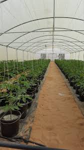 ابوطلال لزراعة المائية M400101 Twitter