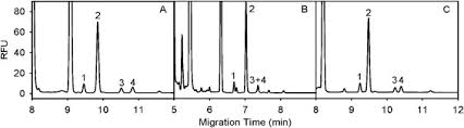 The sample was injected as a. Enantioselective Determination Of Aspartate And Glutamate In Biological Samples By Ultrasonic Assisted Derivatization Coupled With Capillary Electrophoresis And Linked To Alzheimer S Disease Progression Sciencedirect