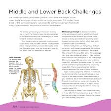 The lower back (lumbar area) of the spine is the most common area affected by a slipped disk. The Back Bible For Anyone With Back Problems And Everyone Who Wants To Avoid Them By Bloomsbury Publishing Issuu
