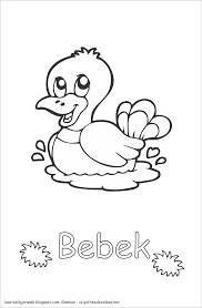 Jika burung lovebird diberi makanan yang bergizi, pastinya tanpa disuruh pun dia akan gacor dan ngekek panjang. Lembar Kerja Mewarnai Yuk Bagian 2 Perpuskampus Com