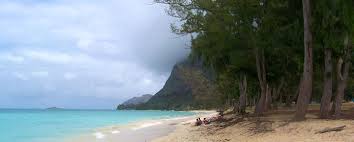Decisions about testing are made by state and local health departments or healthcare providers. When You Don T Follow Hawaii Covid Rules Here S What Happens