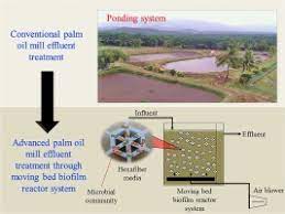 Both empirical and rational design models were presented. A Review Of Moving Bed Biofilm Reactor Technology For Palm Oil Mill Effluent Treatment Sciencedirect