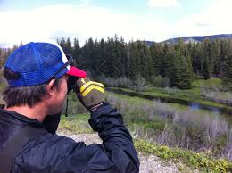 Access 0 trusted reviews, 4 photos & 0 tips from fellow rvers. Moose Wilson Road The Top 5 Scenic Drives In Jackson Hole