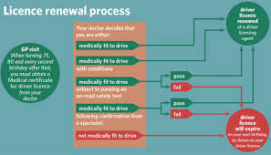 renewing for seniors nz transport agency