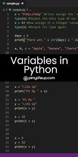 Variables In Python In 2020 Learn Computer Coding Basic Computer Programming Python