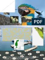 Su interfaz es bastante simple, pero la forma en la que facilita la. Descargar Libro Nacho Pdf Software Movil Introducciones Relacionadas Con La Computadora