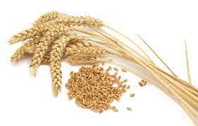 9 prontuario e alimenti adatti ai celiaci. Giornata Mondiale Della Celiachia 10 Alimenti Con Glutine Foto Style