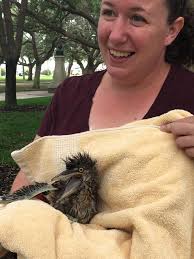 Hmm....removed the battery cover