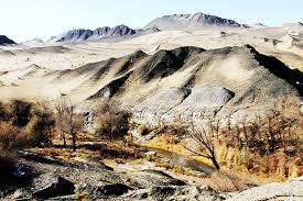 多坝沟胡杨峡：沙山、河流与胡杨林的交响曲——中国·酒泉网