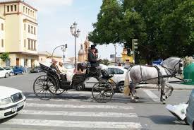 Check spelling or type a new query. Alquiler De Coches De Caballos Para Bodas En Sevilla En Venta En Andalucia Venta De Caballos