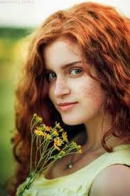 The Seven Deaths of Evelyn Hardcastle