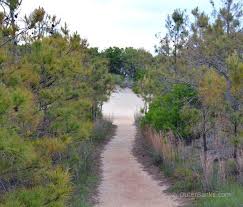 Nags Head Woods Obx Vacation North Carolina Hiking Outer Banks Nc