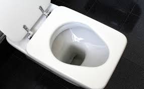 Les étapes à suivre pour utiliser un furet de plombier étape 1 : Toilettes Bouchees Commen Deboucher Des Wc