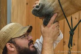 Frank Vela, Equine Dentist