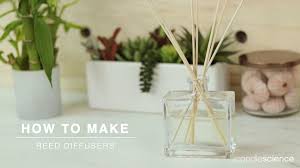 What kind of bottle do you use for a reed diffuser? How To Make Reed Diffusers Candlescience