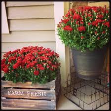 There are a lot of great ideas floating around the internet but these were my top 24. Welcome Spring 17 Great Diy Flower Pot Ideas For Front Doors