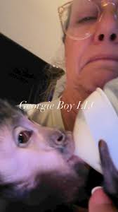 That’s a wrap folks! #Nash #sweetdreams #GoodnightEveryone #fypシ゚ #monkey