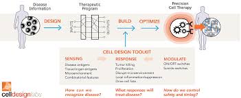 What The Cell Design Labs Acquisition Means For Gilead