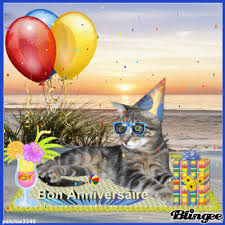 Comment trouver un chat d'anniversaire animé ? Les 500 Meilleures Chat Joyeux Anniversaire Gif 265339