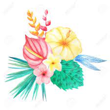 We did not find results for: Set Of Watercolor Hand Painted Tropical Flowers Leaves And Plants Bright Jungle Exotic Clip Art Perfect For Summer Wedding Invitation And Party Card Making Stock Photo Picture And Royalty Free Image Image